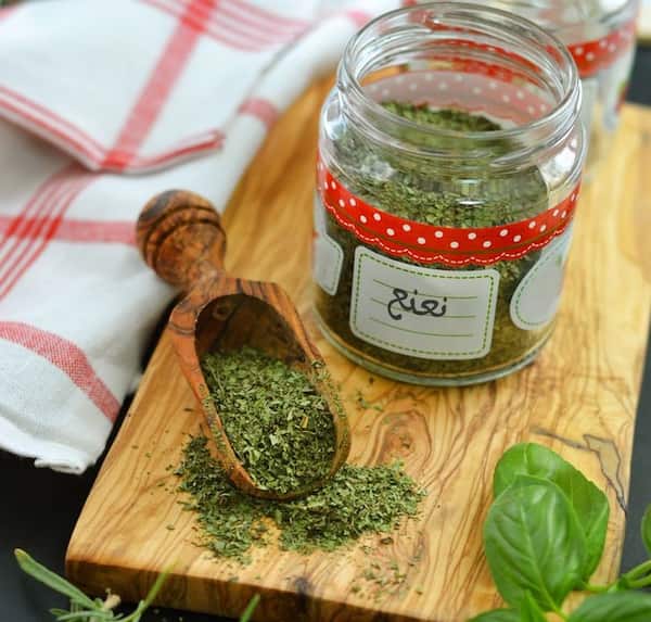 قیمت خرید پودر نعناع + فروش ویژه